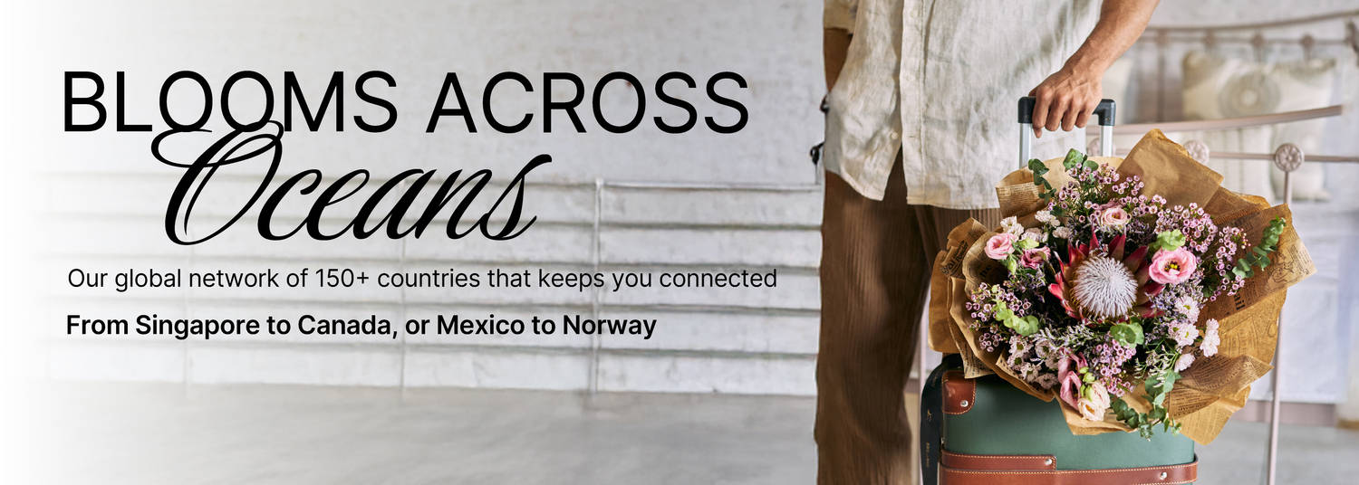 International Banner