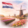 Send Flowers to Netherlands