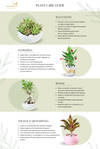 Plant care guide