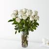 12 Long Stem White Rose Bouquet Online