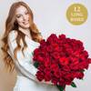 12 red roses Online
