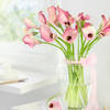 Buy 20 Pink Calla Lilies in Glass Vase