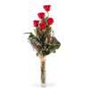 5 Long-stemmed Red Roses Online