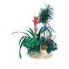 Arrangement of Plants Online