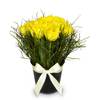 Arrangement of Tulips Spring-Hit Online