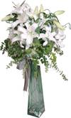 Arrangement of White Liliums Online