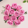 Blushing Beauty Pink Rose Bouquet