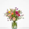 Bouquet Congratulations Online