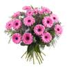 Bouquet of Gerbera Daisies Online