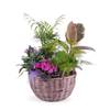 Centrepiece of Plants Online
