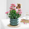 Charming Mother's Day Kalanchoe Plant