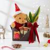 Cozy Christmas Comfort Basket Online