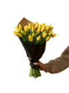 Easter Tulips 240131 Online