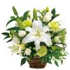 Funeral arrangement in white and green Online