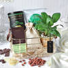 Gourmet Treats Hamper Online