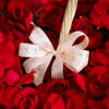 Shop Grand Expression Of Love â€“250 Red Rose Bouquet