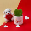Hoya Heart Plant with Teddy Online