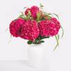 Hydrangea Delight Online