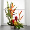 Island Breeze Arrangement Online