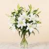 Lilies of Remembrance Online
