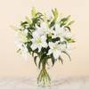 Lilies of Remembrance Online