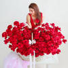 Love Majesty - 250 Roses