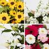 Mixed cut flowers Online