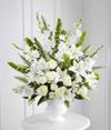 Morning Stars Arrangement Online