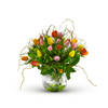 Multi Tulipa Online