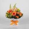 Orange Zest Posy Online