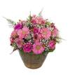 Pink Basket Online
