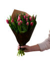 Pink Tulips 240124 Online