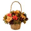 Rhapsody Basket Online