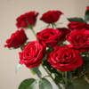 Shop Say It With Roses - 14 Red Rose Flower Gift