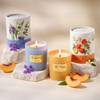 Scented Candles Set 150gms - Peach Mandarin & The First Rain Online