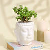 Buy Serene Jade Plant in a  Buddha Planter