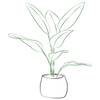 Single Plant Online
