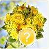 Spring Seasonal Bouquet Online