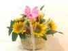 Sunflower Basket Online
