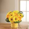 Sunny Surprise Bouquet