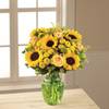 The FTD Daylight Bouquet Online