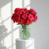 The Perfect Gesture - 30 Red Rose Bouquet Classic Romantic Roses