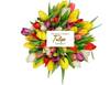 Tulips Florist Choice Bouquet Online