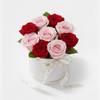 Gift Velety & Blush Pink Rose Flower Box