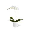 White Orchid Planter Online
