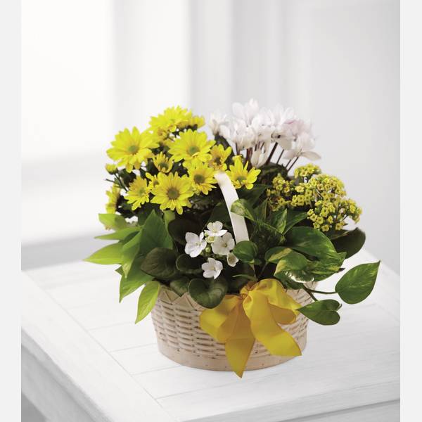 A Bit of Sunshine Basket by FTD