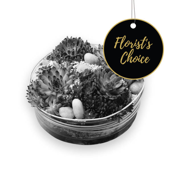 Arrangement of Plants - Florist’s Choice