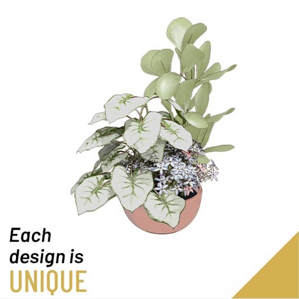 Arrangement of Plants in a Bowl