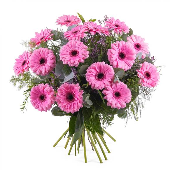 Bouquet of Gerbera Daisies