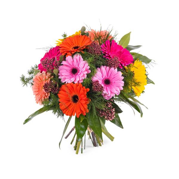 Bouquet of multicoloured Gerbera Daisies